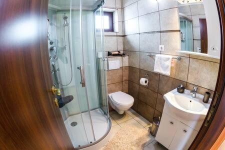 シビウCasa Ienciuアパートメント エクステリア 写真